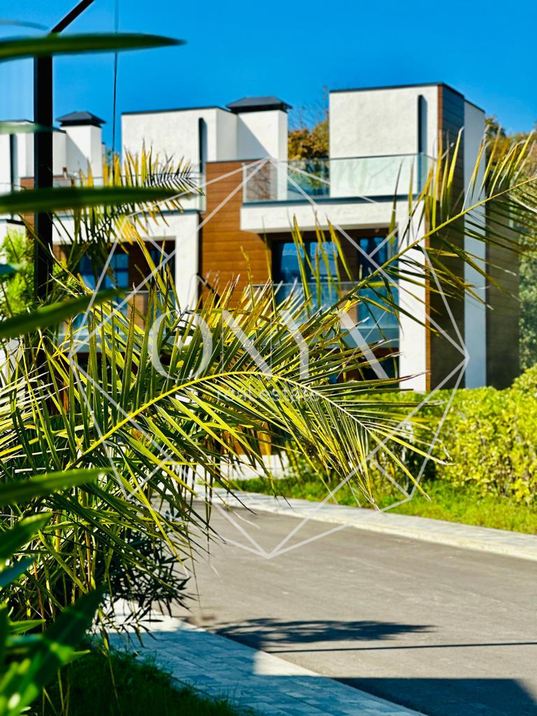 Изображение 9