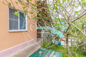 Изображение 28