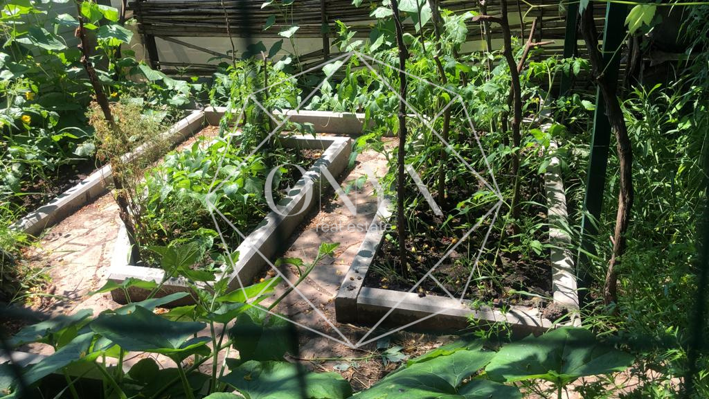 Изображение 17