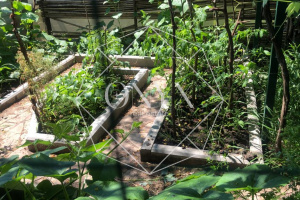 Изображение 17