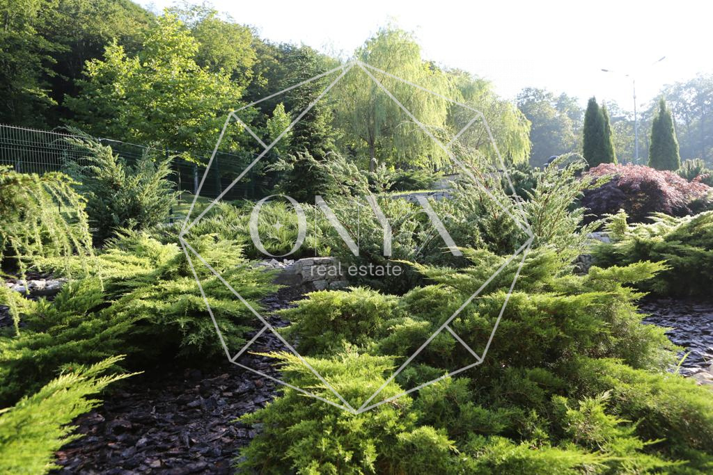 Изображение 11