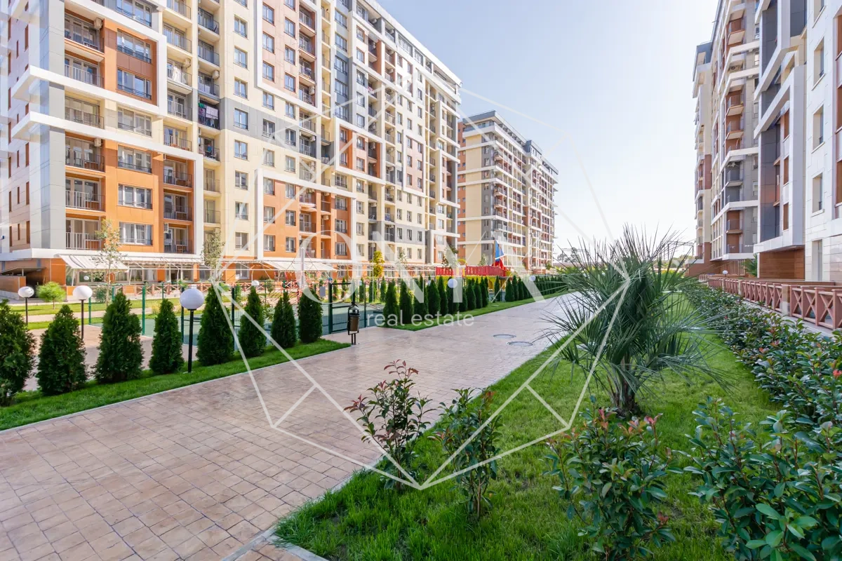 Изображение 11