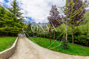 Изображение 24