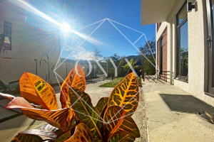 Изображение 17