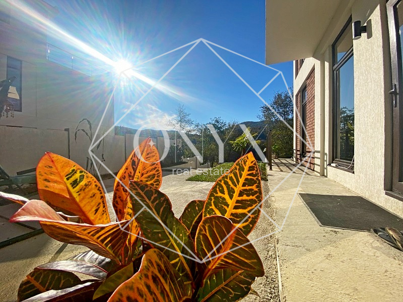 Изображение 17