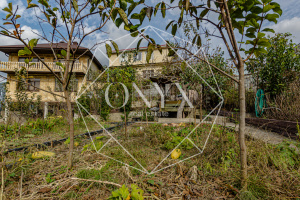 Изображение 38