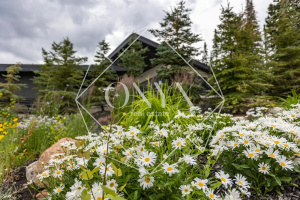 Изображение 18