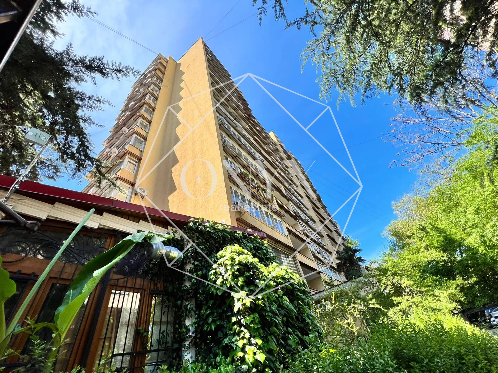 Изображение 13