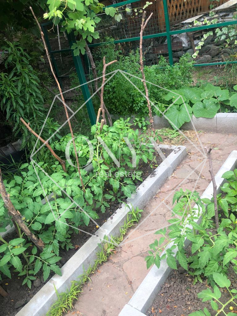 Изображение 12