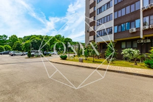 Изображение 77