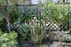 Изображение 20