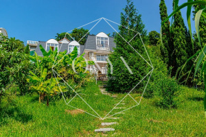 Изображение 7