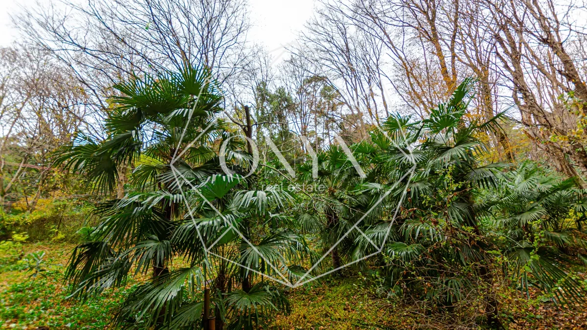 Изображение 25