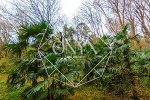 Изображение 25