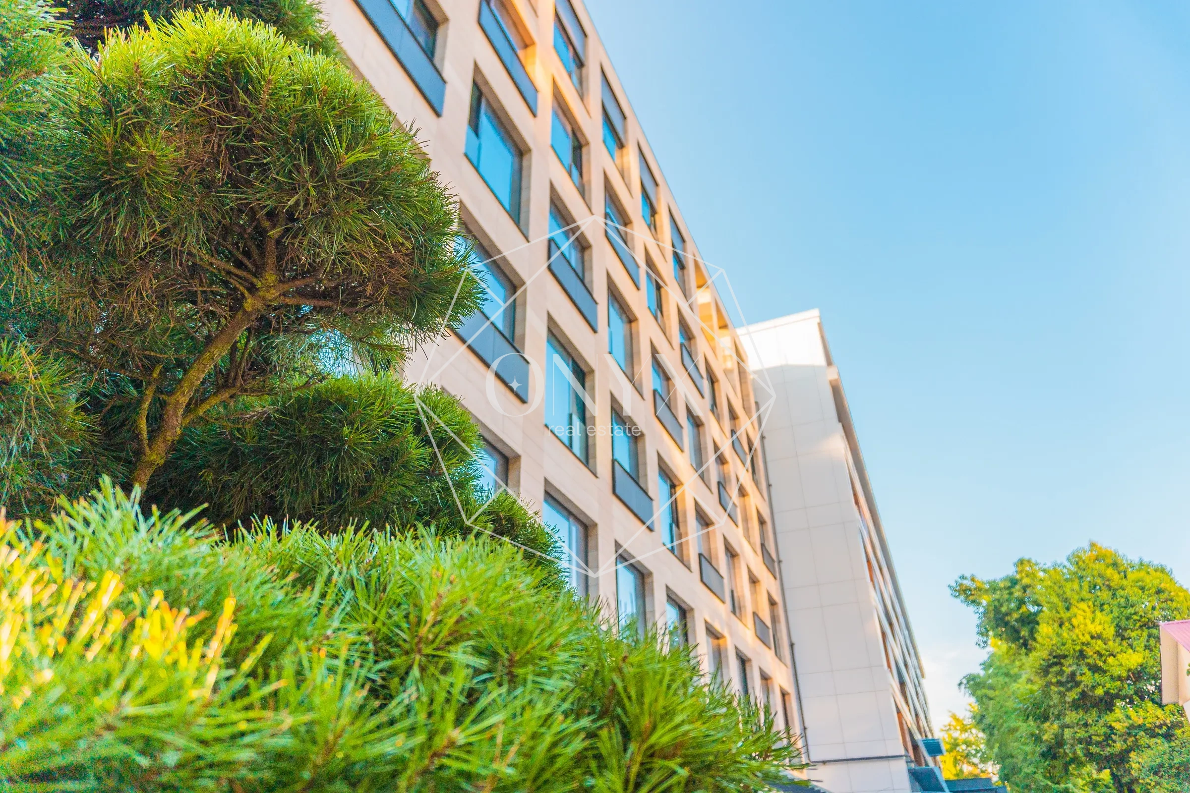 Изображение 14