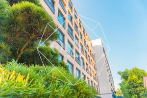 Изображение 14