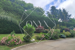 Изображение 25