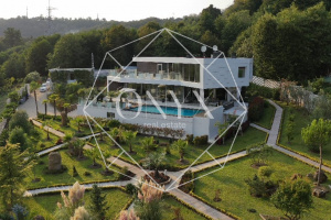 Изображение 13