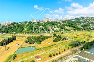 Изображение 17