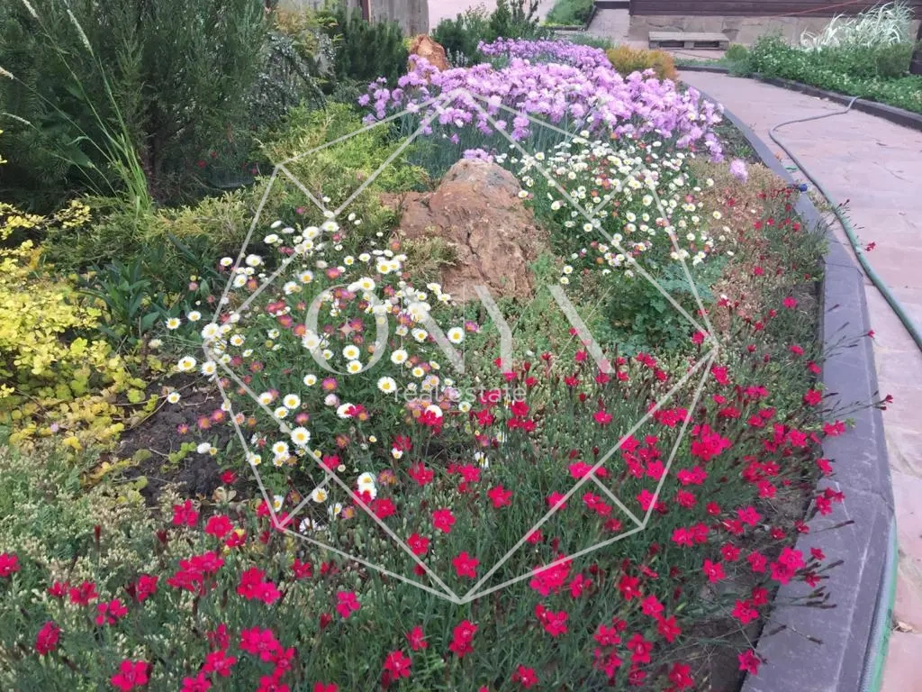 Изображение 12