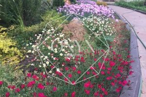 Изображение 12