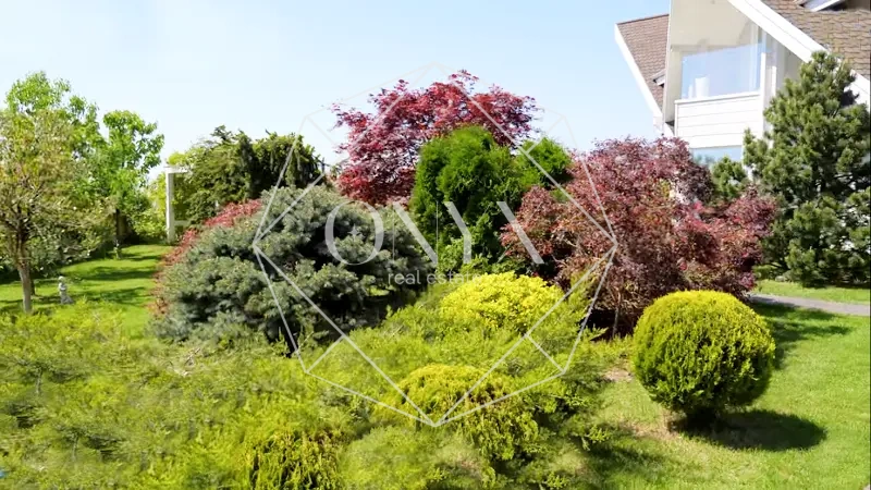 Изображение 14