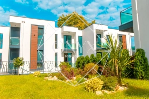 Изображение 13