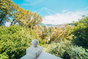 Изображение 29