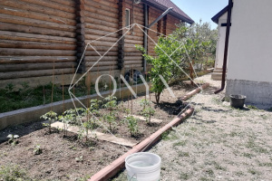 Изображение 8