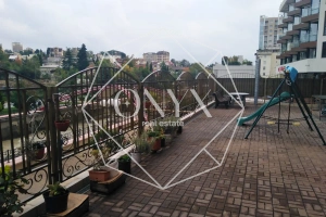 Изображение 6