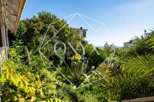 Изображение 13