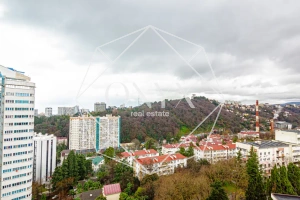 Изображение 29