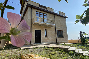 Шикарный дом в Центральном районе Сочи