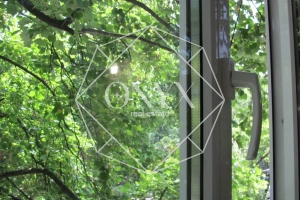 Изображение 7