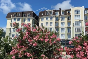 Изображение 10