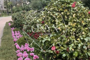 Изображение 25