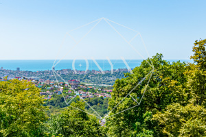 Изображение 15