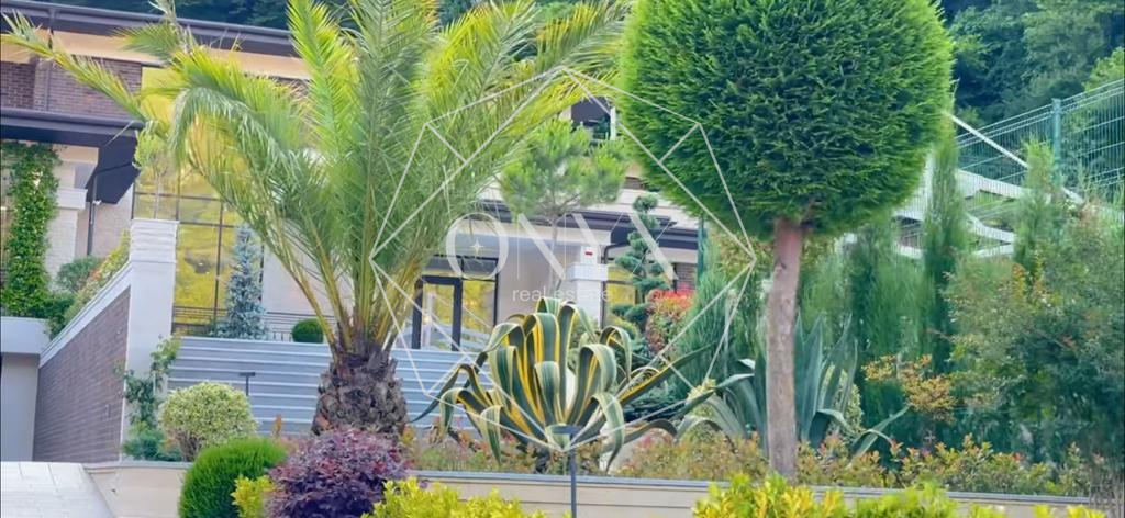 Изображение 26