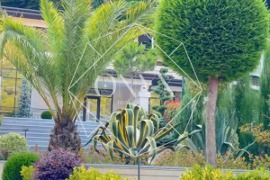 Изображение 26