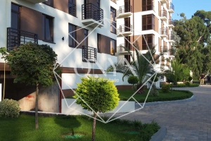 Изображение 8