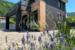 Изображение 9