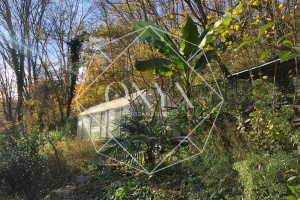 Изображение 14