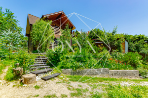 Изображение 14