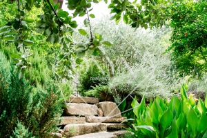 Изображение 11