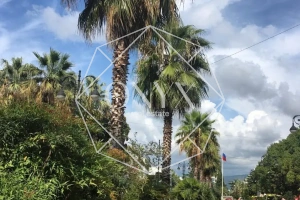 Изображение 8