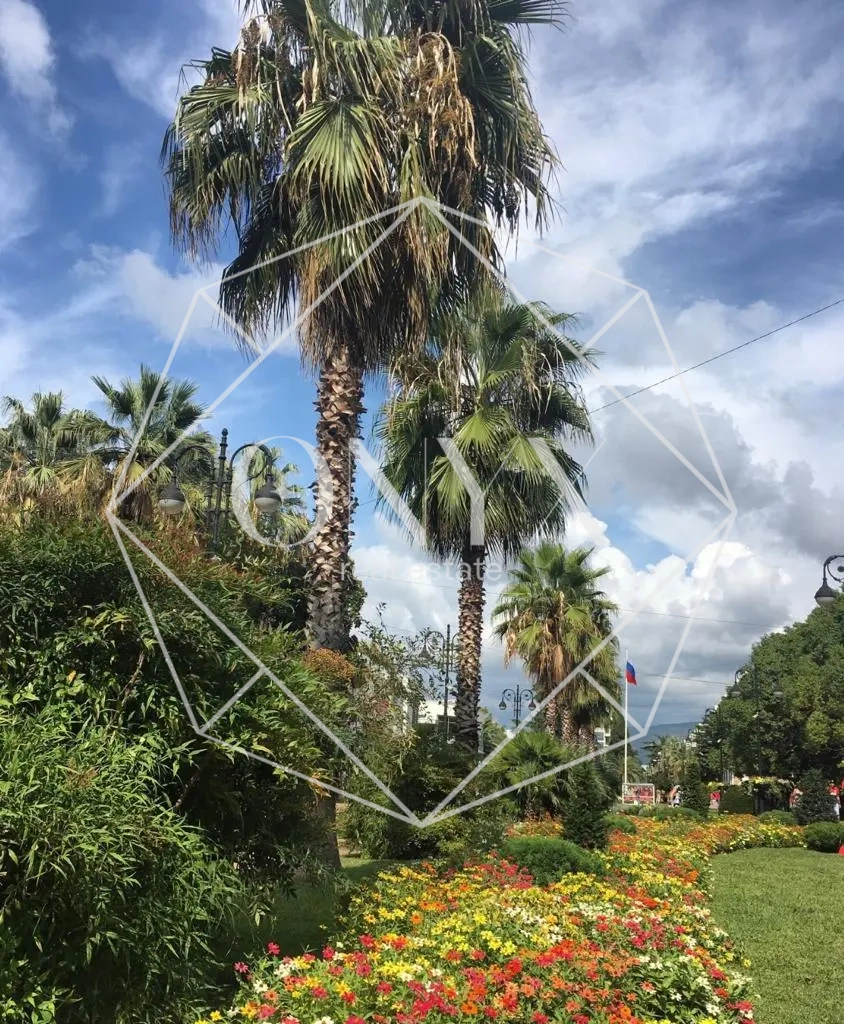 Изображение 8