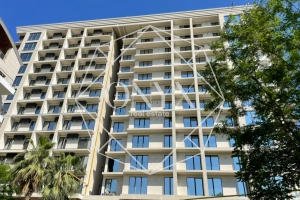 Изображение 5