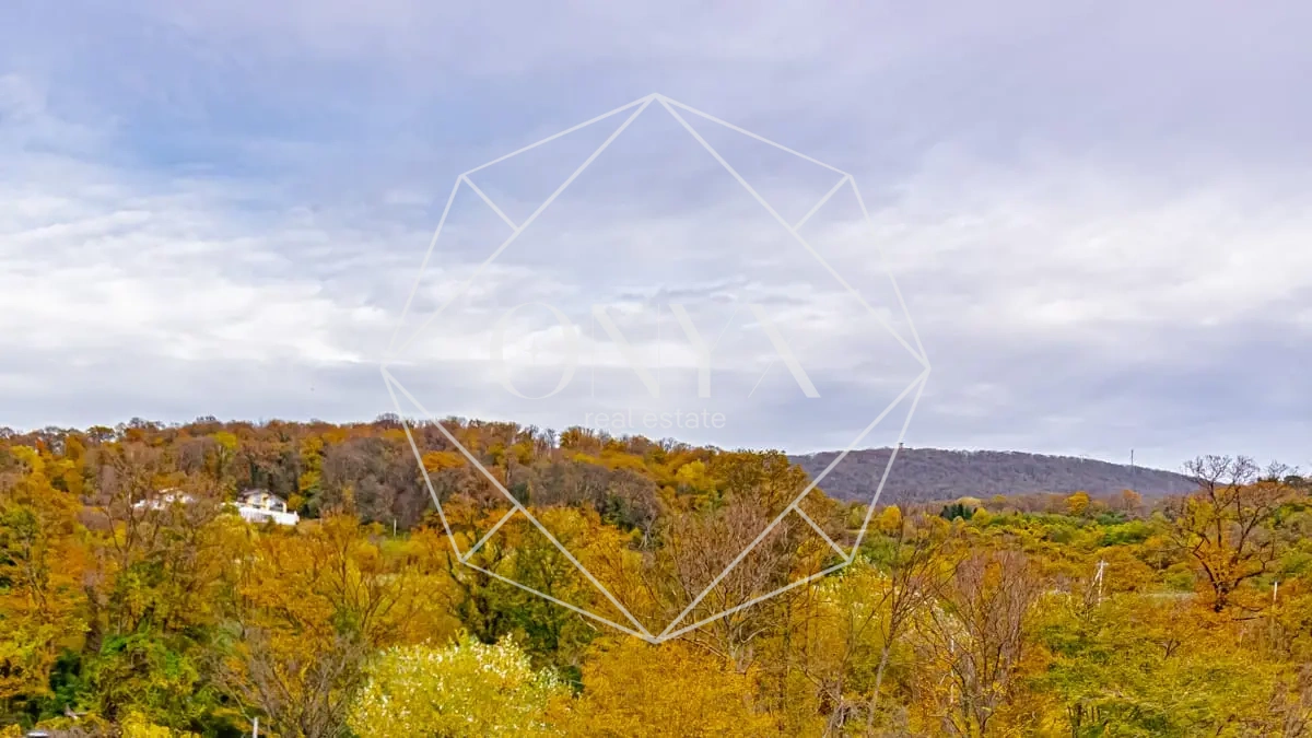 Изображение 13