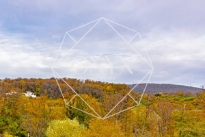 Изображение 13