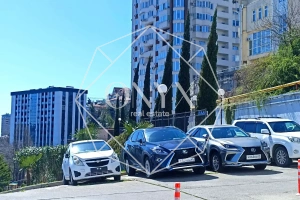 Изображение 15